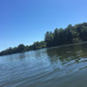 Meet your Posher, Lily